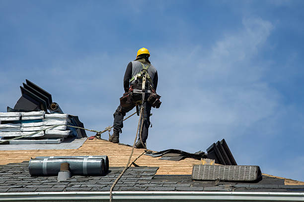 Professional Roofing technician working in Shambaugh, IA